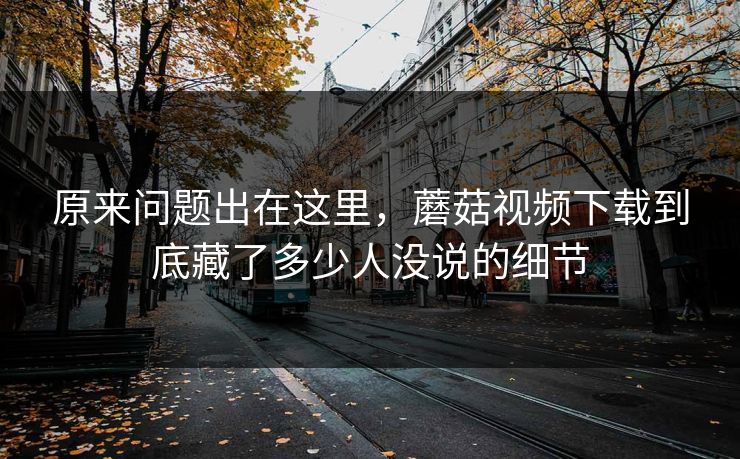 原来问题出在这里，蘑菇视频下载到底藏了多少人没说的细节