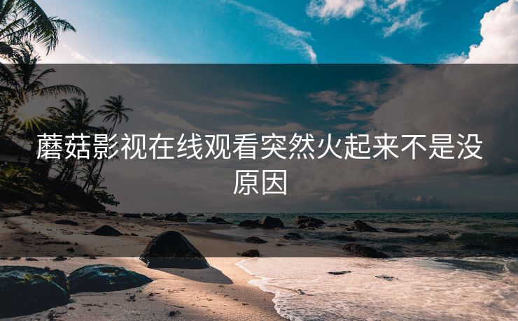 蘑菇影视在线观看突然火起来不是没原因