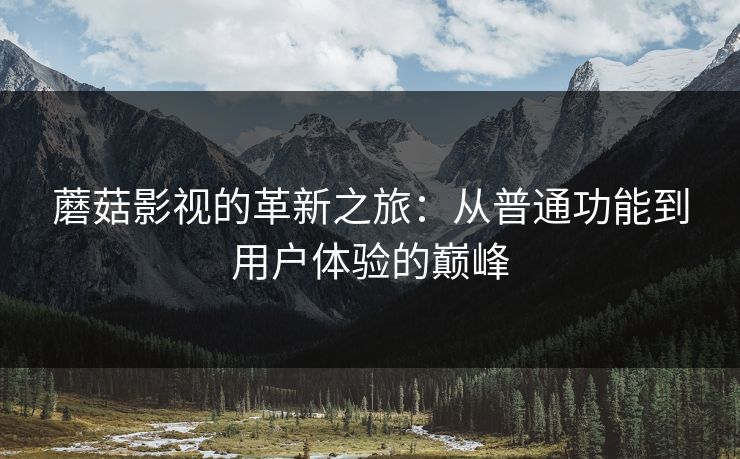 蘑菇影视的革新之旅：从普通功能到用户体验的巅峰