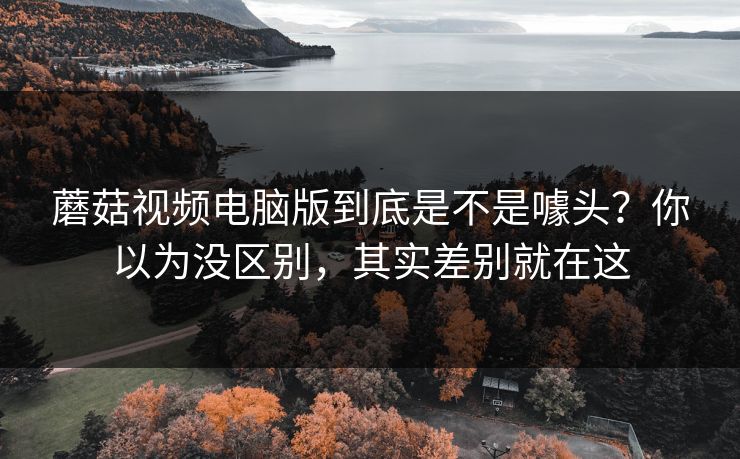 蘑菇视频电脑版到底是不是噱头？你以为没区别，其实差别就在这