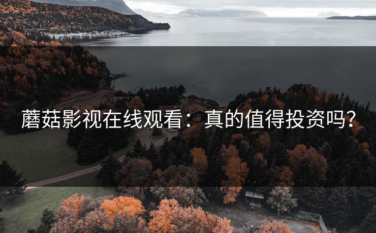 蘑菇影视在线观看：真的值得投资吗？