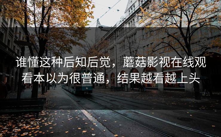 谁懂这种后知后觉，蘑菇影视在线观看本以为很普通，结果越看越上头