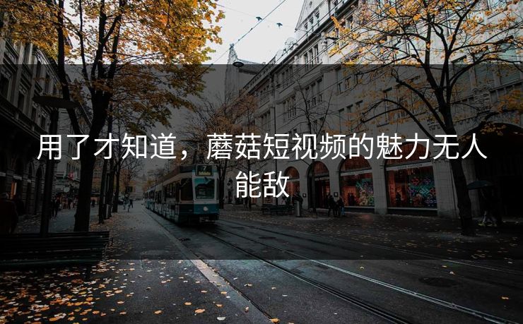 用了才知道，蘑菇短视频的魅力无人能敌