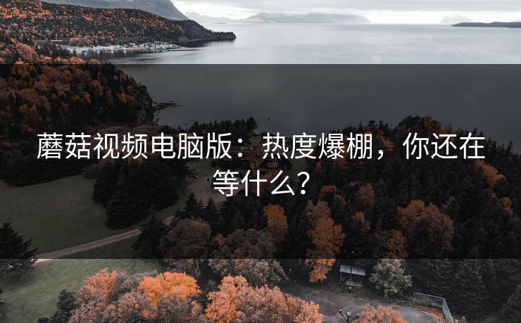 蘑菇视频电脑版：热度爆棚，你还在等什么？