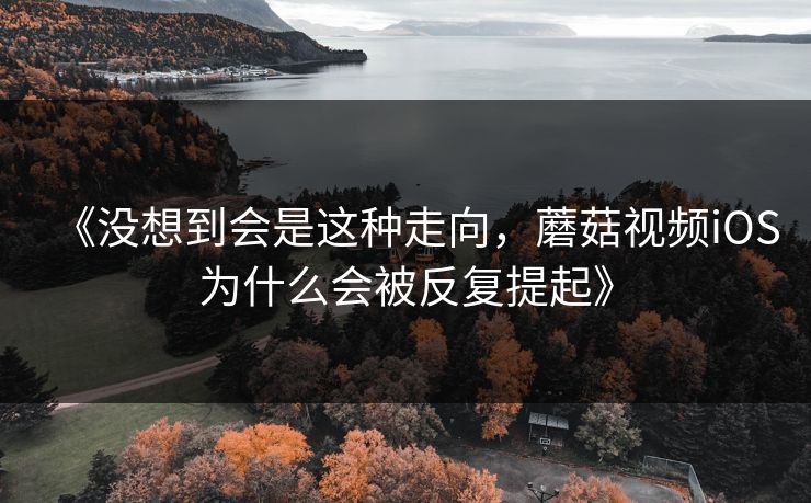 《没想到会是这种走向，蘑菇视频iOS为什么会被反复提起》