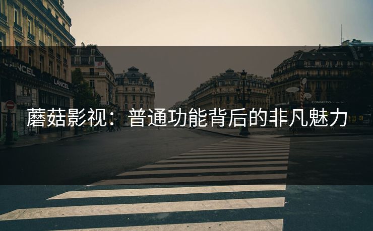蘑菇影视：普通功能背后的非凡魅力
