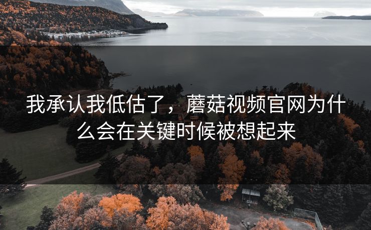 我承认我低估了，蘑菇视频官网为什么会在关键时候被想起来