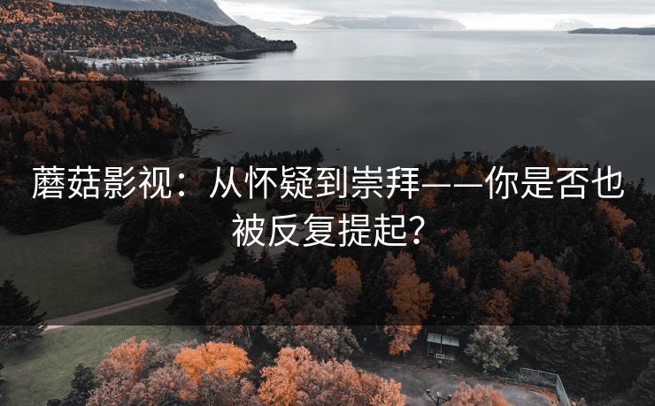 蘑菇影视：从怀疑到崇拜——你是否也被反复提起？
