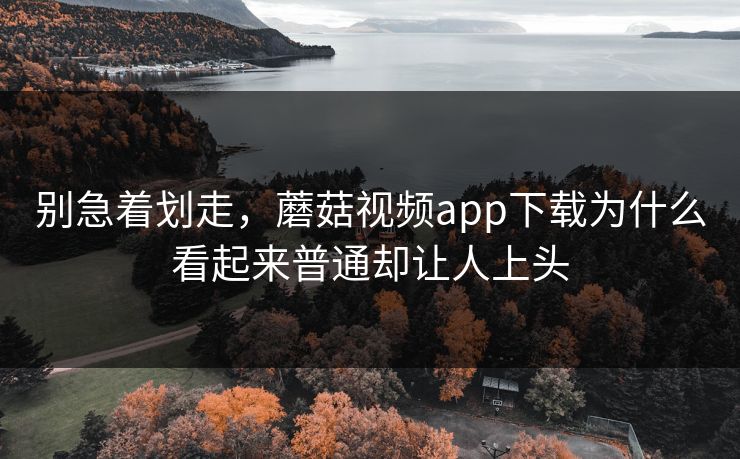 别急着划走,蘑菇视频app下载为什么看起来普通却让人上头 别急着划走,蘑菇视频app下载为什么看起来普通却让人上头