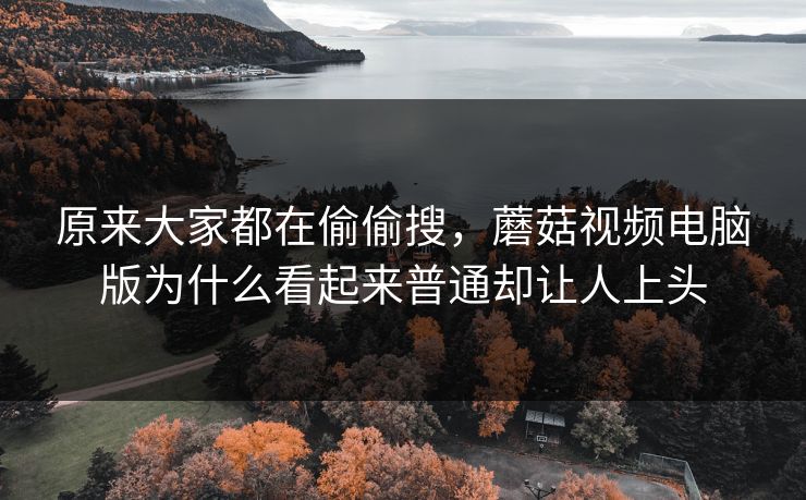 原来大家都在偷偷搜，蘑菇视频电脑版为什么看起来普通却让人上头