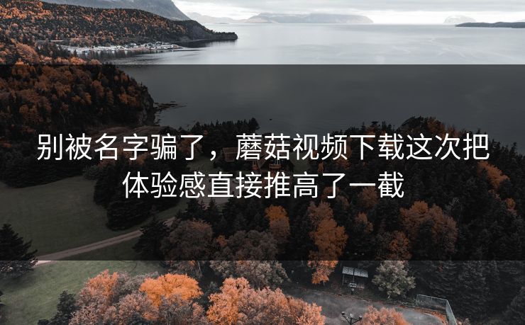 别被名字骗了,蘑菇视频下载这次把体验感直接推高了一截 别被名字骗了,蘑菇视频下载这次把体验感直接推高了一截